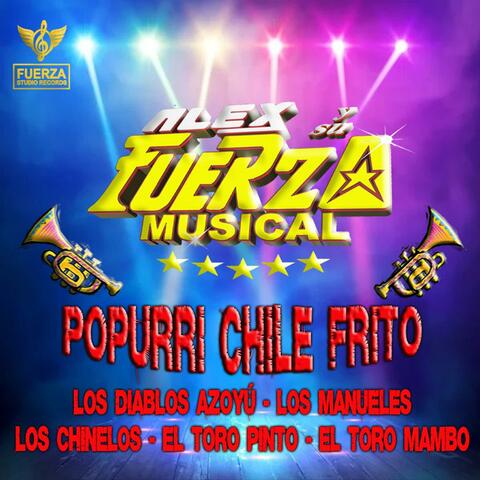 Popurri: Diablos Azoyú / Los manueles / Los chinelos / Toro pinto