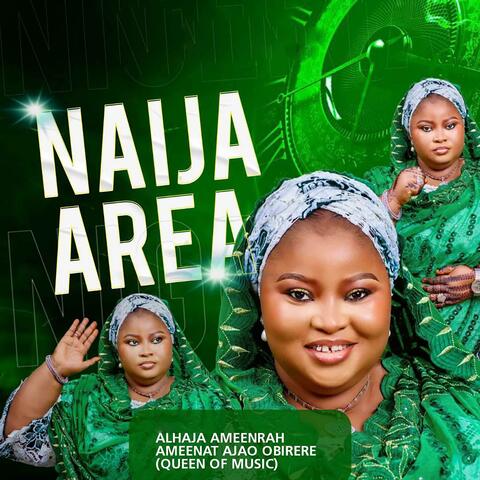Naija Area