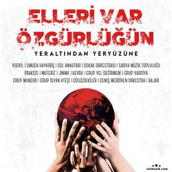 Günebakanlar