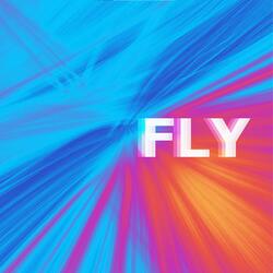 Fly