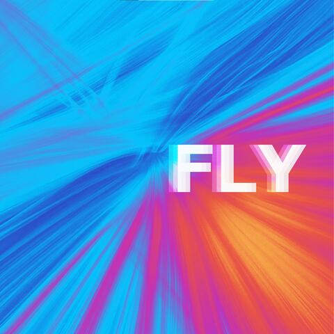 Fly