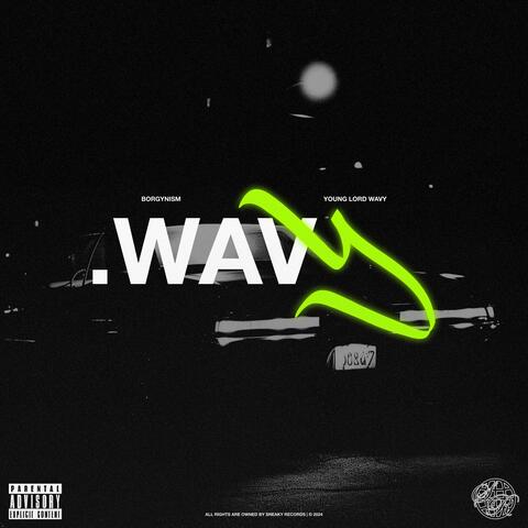 .wavY