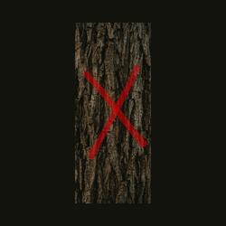 ŞEHİRDEKİ AĞACIN ŞARKISI