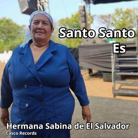 Santo Santo Es