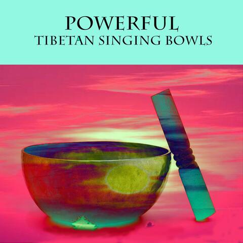 Tibetan Bowls D# -Powerful Healing Frecuency (Zen Meditation)