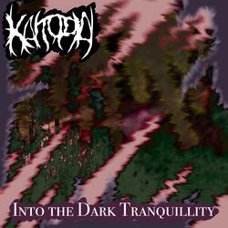 Into the Dark Tranquillity