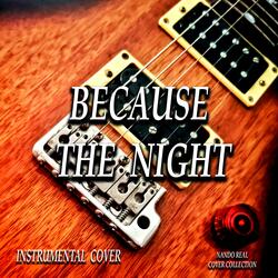 BECAUSE THE NIGHT