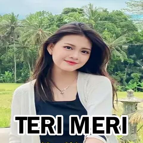 TERI MERI