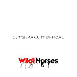 Let's Make It Official