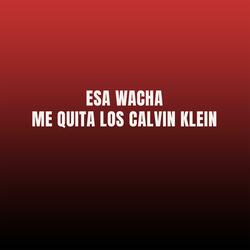 esa wacha me quita los calvin klein