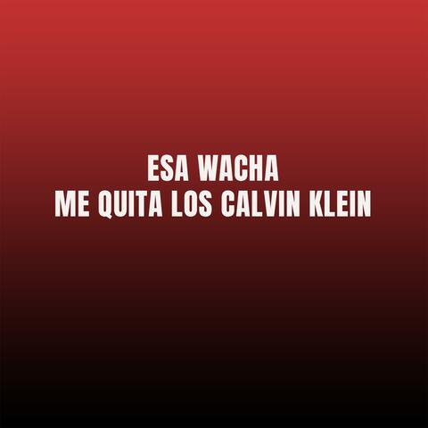 esa wacha me quita los calvin klein