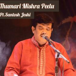 Thumari Mishra Peelu