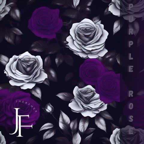 Purple Rose