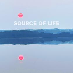 Source of Life