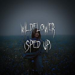 wildflower