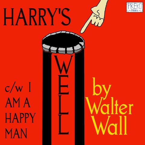Harry's Well
