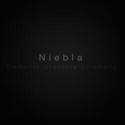 Niebla