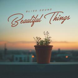Beautiful Things