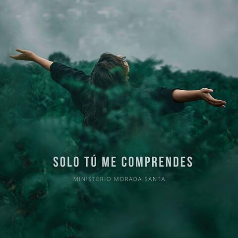 Solo Tu Me Comprendes