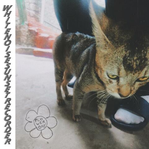 Flowerboy EP