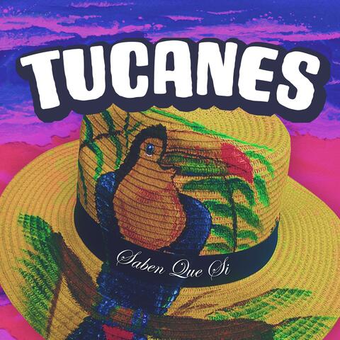 Tucanes