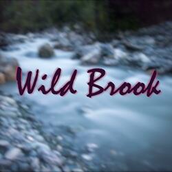 Wild Brook
