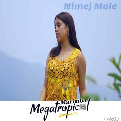 Nimej Mule