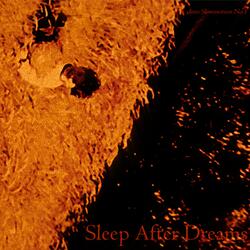 Into Slowmotion No. 1