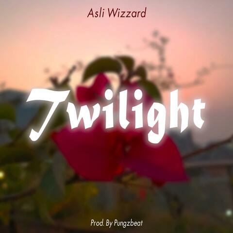 Twilight