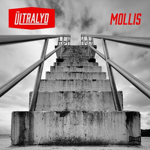 Mollis