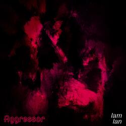 Aggressor