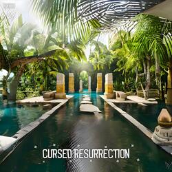 Universal Realignment