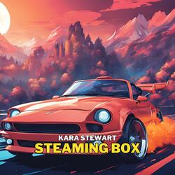 Steaming Box
