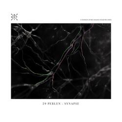 Synapse