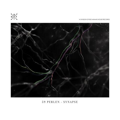 Synapse