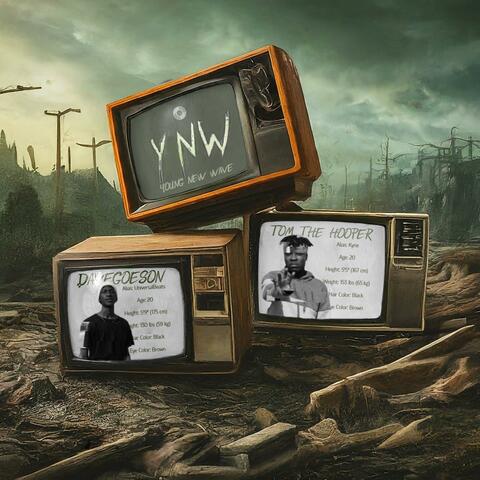 YNW (YOUNG NEW WAVE)