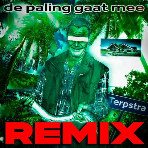 De Paling Gaat Mee (Remix)