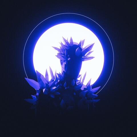 Moonlight