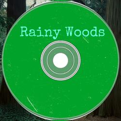 Rainy Woods