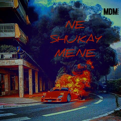 Ne Shukay Mene