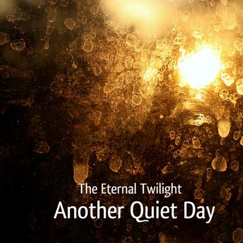 Another Quiet Day