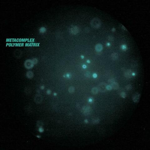 Polymer Matrix