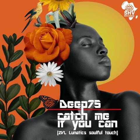 Catch Me If You Can (ZVL Lunatics Remix)