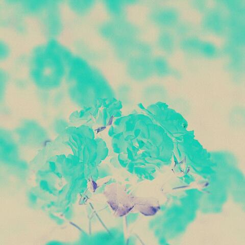 Enigmatic