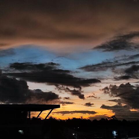 Morning