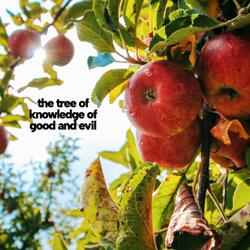 the tree of knowledge of good and evil