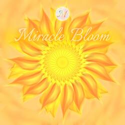 The Cosmic Ballet of Tangerine Sunflower