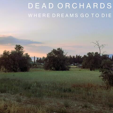 Where Dreams Go To Die