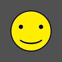 Fake Smile