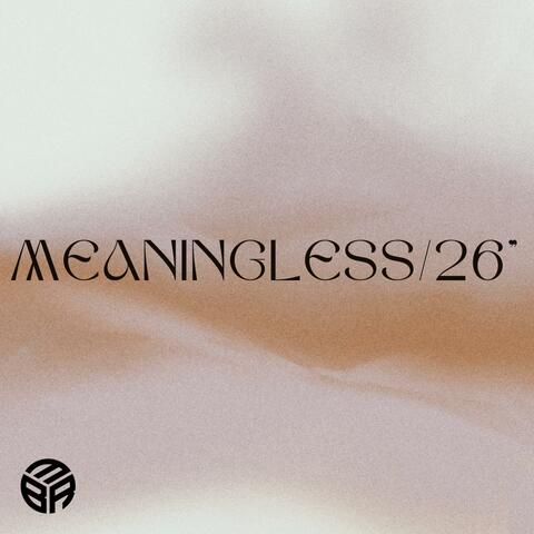 Meaningless/26"